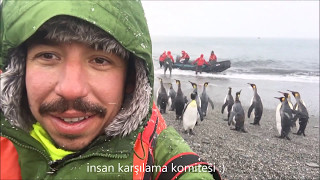 Antarktikaya nasıl gidilir Penguenler Foklar Balinalar A trip to Antarctica [upl. by Yle260]