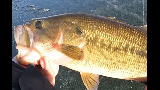 Chasing Flags For BASS and PIKE EARLY ICE [upl. by Bobby801]