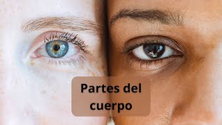 Enseñar las Partes del cuerpo ✋🦶🦵 para niños 🙅 [upl. by Helms201]