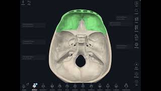 Neurocranium  Basis Cranii amp Calvaria  3 D Learning [upl. by Aiyot610]