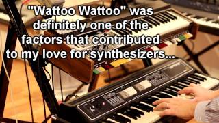 Wattoo Wattoo style with SH2000 amp RS202 [upl. by Bass]