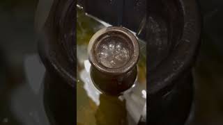 Snail meets Muriatic acid while cleaning antique bottles [upl. by Hokanson]