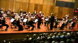 Haydn trumpet concerto 1st movement [upl. by Lancaster]