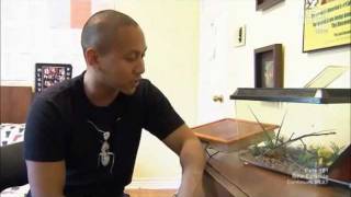 Animal Planet feat AntsCanada aka Mikey Bustos [upl. by Binny]