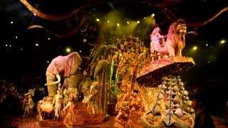 Festival of the Lion King  Hong Kong Disneyland [upl. by Akcirret920]