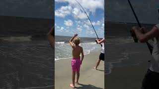 Bull Shark Jekyll Island Surf Fishing 2024 [upl. by Delwin841]