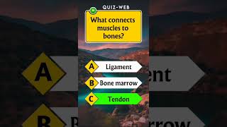 Anatomy Quiz For Americans 👀🧠🇺🇲 shortvideo shorts shortsfeed quiztime quizweb [upl. by Kovacev]