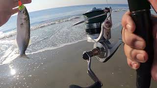 08 13 2024 surf fishin on Tybee Island [upl. by Fleming]