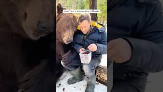 A bear cub was rescued and then became a long life companion shorts [upl. by Assiluj]