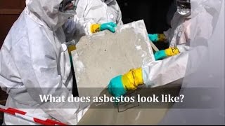 What does asbestos look like [upl. by Irmgard]