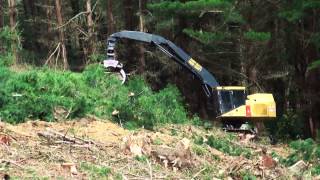 Harvester Tigercat LH855C with Directional Felling Head [upl. by Aldred]