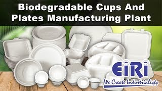 Biodegradable Cups and Plates From Sugarcane Bagasse Wood Pulp Or Bamboo Pulp [upl. by Radburn888]