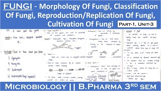 Fungi  Morphology of fungi  Classification of fungi  Reproduction of fungi  Cultivation of fungi [upl. by Tengdin55]