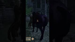 Shadowmere 2  Jauffre 0  Oblivion  oblivion gaming gameplay [upl. by Cinnamon]