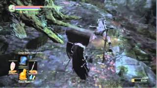 Dark Souls 3  Item Farming Pale Tongue and Wolf Blood Swordgrass [upl. by Eldwon]