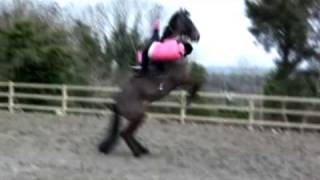 Horse Rear FAIL [upl. by Katina]