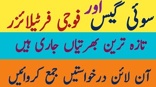 sui gas jobs 2024FFC jobs 2024 online applygovernment jobs [upl. by Beker]