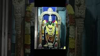 Sheshadrivasa sri Thirumales good love song [upl. by Gladdy208]