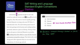 SAT Writing and Language Standard English Convention Punctuation Dashes Easy [upl. by Esikram]