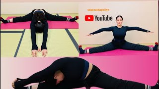 Stretching exercises for beginners [upl. by Jamila]