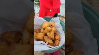 Catch and cook on the spot 🔥🎣fishing outdoors catchandcook outdoorcooking fish trinityriver [upl. by Elitnahc277]