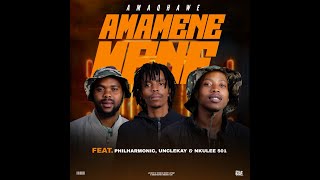 AMAQHAWE  Amamenemene feat Philharmonic UncleKay  Nkulee 501 [upl. by Erot100]