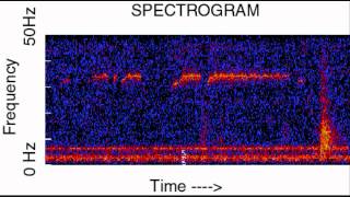 Unidentified Deep Sea Sounds  Train 16X [upl. by Artemis]