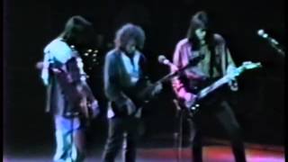 Boston  Live at Hamilton Ontario 1988 [upl. by Other]