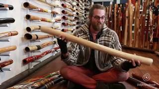 Didgeridoo Buyers Guide  Price  7 of 10 [upl. by Niliram]