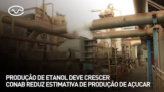 Produção de etanol deve crescer e CONAB reduz estimativa de produção de açucar [upl. by Ylnevaeh]