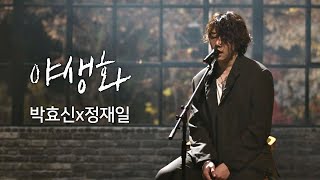 풀버전 박효신Park hyo shinx정재일Jung jae il， 한층 깊어진 감성 ′야생화′♪ 너의 노래는Your Song 1회 [upl. by Rosette]