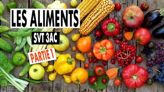 3ac svt cours  les aliments la digestion et labsorption 🍓 svt 3ème année collège  partie 1 svt [upl. by Jaye626]