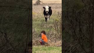 Sweet Moment Turns Hilarious My Sons Unexpected Words About a Calf [upl. by Thirzia]