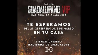 Torneo Guadalupano VIP [upl. by Nhojleahcim]