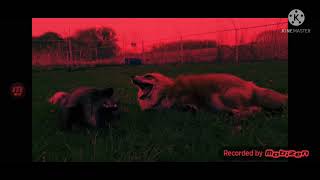 SaveAFox YTP Dixie and Muttias Hallucinate [upl. by Tiffi]