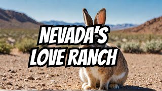 Love Ranch Nevada A Look Inside the Bunny Ranch shorts funfacts [upl. by Allerus350]