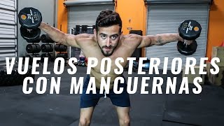 Cómo hacer Vuelos Posteriores con Mancuerna Inclinado  Ejercicio para Hombro  Deltoides Posterior [upl. by Kandace]