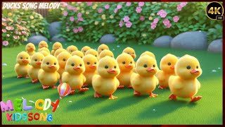 🐥 Ducky Day Song 🎶  Cheerful Quacking and Splashing [upl. by Mad]