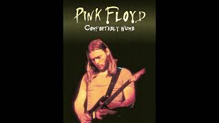 Pink Floyd  Comfortably Numb Guitar Solo Backing Track  Original [upl. by Arlon655]