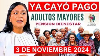 💥SE ADELANTA ADULTOS MAYORES HOY DOMINGAZO 3 DE NOVIEMBRE LETRA Y FECHA DEL DEPOSITO💥 [upl. by Gellman]