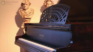 Fully rebuilt 1914 Pleyel Modèle 3 grand piano [upl. by Burley]