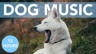 12 HOURS OF RELAXING DOG MUSIC Great for Anxiety Crate Training [upl. by Leugimesoj]