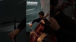 Improvising some music in Cremona together with DaddarioOrchestral 🖤🎻 [upl. by Zetnwahs129]