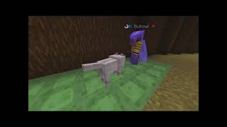 Perro bailando en warp pvp [upl. by Kosel]