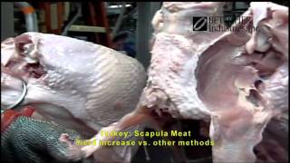 Turkey Scapula Meat Removal [upl. by Bayly116]