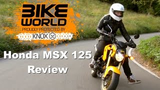 HONDA MSX 125 Review Reload From Show Sponsored by MCE Insurance [upl. by Kcired468]