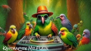 Katchafire  Mr Flava [upl. by Elgar999]