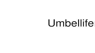 How to pronounce Umbelliferae [upl. by Roanne]