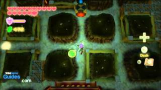 Zelda Skyward Sword Walkthrough  Fire Sanctuary  Dungeon Map Part 120  WikiGameGuides [upl. by Rodney485]