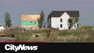 90 homes occupied in Blatchford 15 years after vote [upl. by Javler]